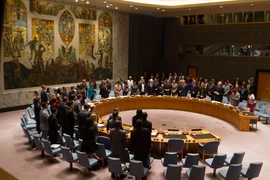 Toàn cảnh một phiên họp của Hội đồng Bảo an tại New York. (Nguồn: THX/TTXVN)