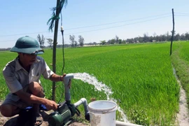 Bơm nước chống hạn cho cây lúa xã Tam Tiến, huyện Núi Thành, Quảng Nam. (Ảnh: Đỗ Trưởng/TTXVN)