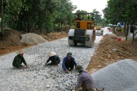 (Ảnh minh họa. Trần Tuấn/TTXVN)