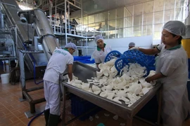 Triển vọng chung của nền kinh tế Việt Nam trong năm 2015