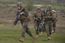 Binh sỹ Mỹ trong một cuộc tập trận. Ảnh minh họa. (Nguồn: AFP/TTXVN)
