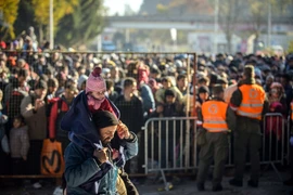 Người di cư tại khu vực biên giới Slovenia-Áo. (Nguồn: AFP/TTXVN)