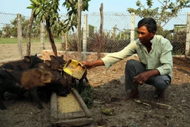 Bỏ hỗ trợ dầu hỏa thắp sáng cho đồng bào dân tộc thiểu số