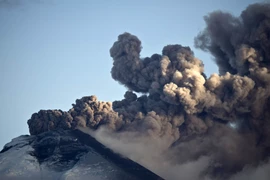 Ảnh minh họa. (Nguồn: AFP/TTXVN)