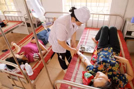 (Ảnh minh họa. Trung Kiên/TTXVN)