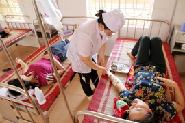 (Ảnh minh họa. Trung Kiên/TTXVN)