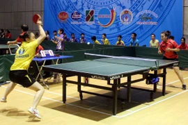 (Ảnh minh họa. Mạnh Tú/TTXVN)