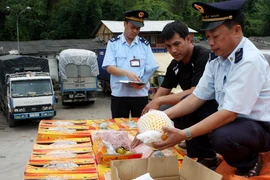 Quy hoạch hành lang kinh tế Lạng Sơn-Hà Nội-TP. HCM-Mộc Bài