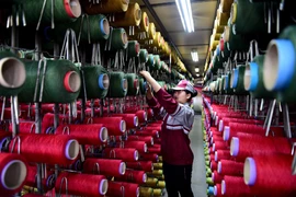 Công nhân làm việc tại một nhà máy dệt thảm ở tỉnh Sơn Đông, miền đông Trung Quốc. (Nguồn: THX/TTXVN)