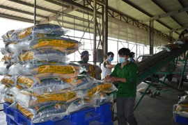 Sản xuất gạo tại Công ty Cổ phần Tập đoàn Tân Long - Chi nhánh Đồng Tháp (xã Định An, huyện Lấp Vò, Đồng Tháp). (Ảnh: Nhựt An/TTXVN)