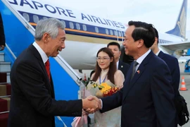 Bộ trưởng Bộ Lao động, Thương binh và Xã hội Đào Ngọc Dung đón Thủ tướng nước Cộng hòa Singapore Lý Hiển Long tại Sân bay Quốc tế Nội Bài. (Ảnh: An Đăng/TTXVN) 