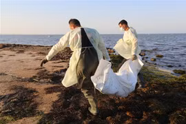 Lực lượng cứu hộ chuyển thi thể người di cư tại Zarzis, Tunisia. (Ảnh: AFP/TTXVN)