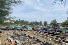 Các tàu, thuyền về nơi tránh trú bão an toàn. (Ảnh: TTXVN phát)