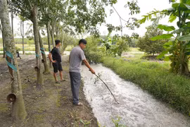 Mương nước xả thải từ trang trại chăn nuôi lợn xả thẳng ra rạch Bàu Nâu, thuộc ấp Cẩm An, xã Cẩm Giang, huyện Gò Dầu có mùi hôi thối, khó chịu gây bức xúc. (Ảnh: Minh Phú/TTXVN)