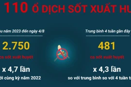 Hà Nội vẫn còn 110 ổ dịch sốt xuất huyết đang hoạt động