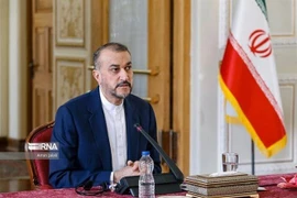 Ngoại trưởng Iran Hossein Amir-Abdollahia. (Ảnh: IRNA/TTXVN)