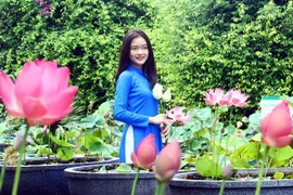 Du khách chụp ảnh với những đóa hoa sen. (Ảnh: Tá Chuyên/TTXVN)