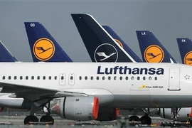 Máy bay của Hãng hàng không Lufthansa tại sân bay Frankfurt, Đức. (Ảnh: AFP/TTXVN)