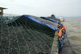 2.000 tấn than không rõ nguồn gốc đang được lực lượng chức năng xác minh và điều tra. (Ảnh: TTXVN phát)