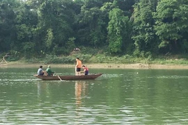 (Ảnh minh họa: TTXVN phát)