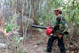 Lực lượng chữa cháy dùng máy thổi gió thổi bay lớp thực bì ngăn không cho đám cháy lan rộng. (Ảnh: Phước Ngọc/TTXVN)