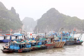 (Ảnh minh họa: Văn Đức/TTXVN)