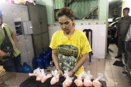 Đối tượng Vũ Thị Thu Hằng cùng tang vật. (Ảnh: Thanh Tân/TTXVN)