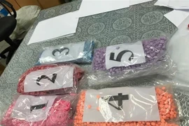 (Ảnh minh họa: TTXVN phát)