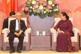 Phó Chủ tịch Thường trực Quốc hội Tòng Thị Phóng tiếp Ủy viên Ban Thường vụ Đảng Liên đoàn Quốc gia vì Dân chủ Myanmar. (Ảnh: Doãn Tấn/TTXVN)