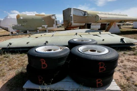 (Nguồn: Sputnik International)