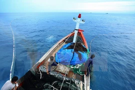 Ngư dân huyện Lý Sơn đánh bắt hải sản trên vùng biển tỉnh Quảng Ngãi. Ảnh minh họa. (Ảnh: Lâm Khánh/TTXVN)