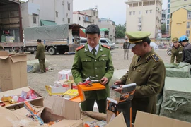 Ảnh chỉ mang tính minh họa. (Nguồn: Đức Duy/Vietnam+)