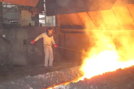 Ảnh chỉ mang tính minh họa. (Nguồn: PV/Vietnam+)