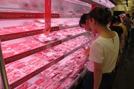 Ảnh chỉ mang tính minh họa. (Nguồn: Đức Duy/Vietnam+)