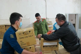 Ảnh chỉ mang tính minh họa. (Nguồn: Đức Duy/Vietnam+)