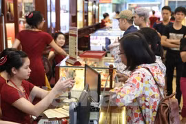 Ảnh chỉ mang tính minh họa. (Nguồn: Đức Duy/Vietnam+)