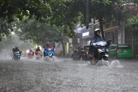 Ảnh chỉ có tính minh họa. (Ảnh: Công Luật/TTXVN)