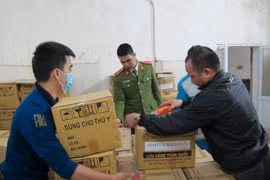 Ảnh chỉ mang tính minh họa. (Nguồn: Đức Duy/Vietnam+)