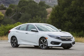 Ảnh chỉ mang tính minh họa. (Nguồn: Internet)