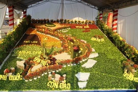 Bản đồ Việt Nam làm bằng trái cây lớn nhất có diện tích 60m2