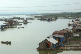 Có khoảng 10 cơn bão hoạt động trên Biển Đông trong năm 2015