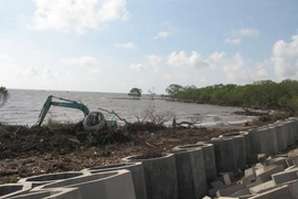 Quy hoạch 9 dự án phát triển thủy lợi tại Đồng bằng sông Cửu Long