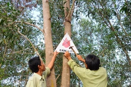 Tây Ninh: Tập trung bảo vệ gần 60.000 ha rừng trong mùa khô