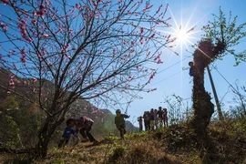 Nhiệt độ khu vực Tây Bắc bộ tăng nhanh, nóng như ngày đầu Hè