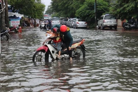 Xây dựng ba công trình chống ngập úng tại Đồng bằng sông Cửu Long 