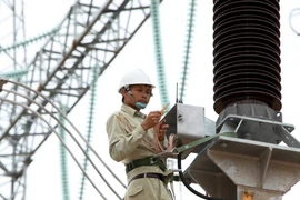 Tập đoàn Điện lực Việt Nam đã thoái 691 tỷ đồng tiền vốn