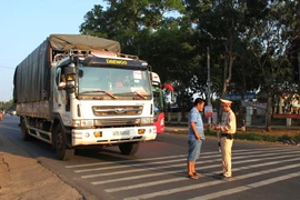 Ảnh minh họa. (Nguồn: TTXVN)