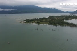 Thị trấn Lăng Cô được mệnh danh là Vương quốc hàu xứ Huế. (Ảnh: Tùng Lâm/Vietnam+)