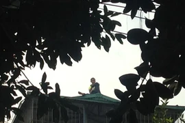 Thanh niên nghi ngáo đá cố thủ trên nóc nhà 4 tầng 10 giờ đồng hồ. (Ảnh: Sơn Bách/Vietnam+)