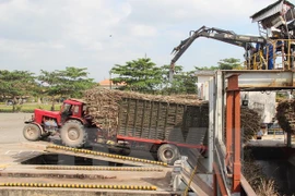 Hình chỉ mang tính minh họa. (Nguồn: TTXVN)